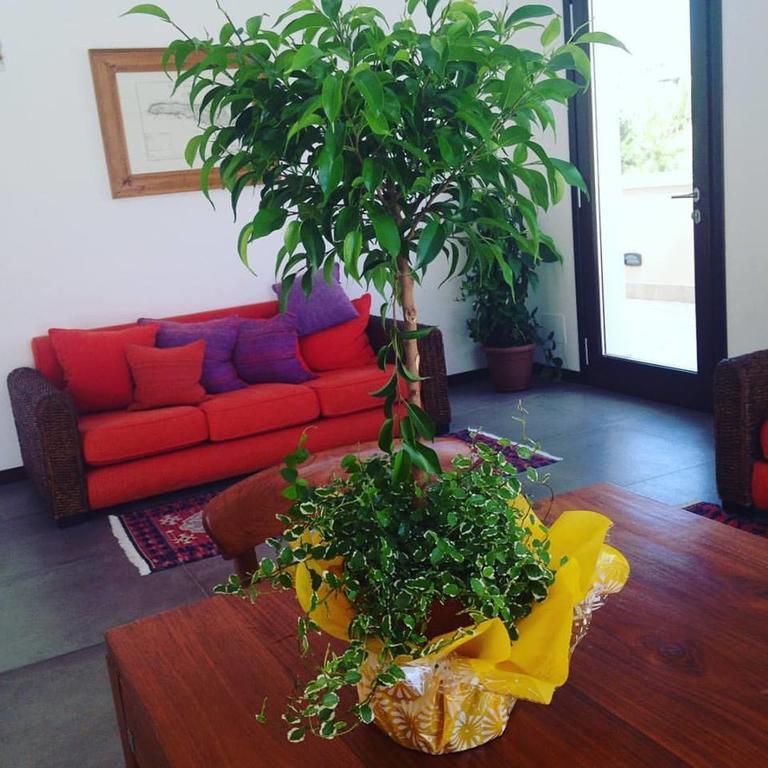 Hotel Moresco LMP